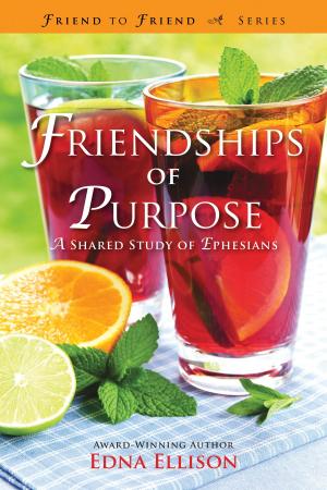 Cover of the book Friendships of Purpose by Travis Collins