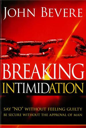 bigCover of the book Breaking Intimidation by 