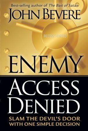 Book cover of Enemy Access Denied