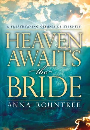 Cover of the book Heaven Awaits the Bride by Ruth Mertz
