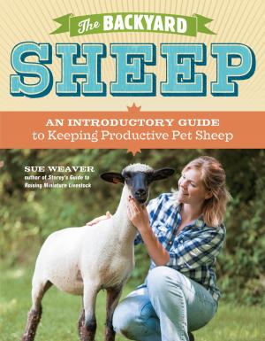 Book cover of The Backyard Sheep