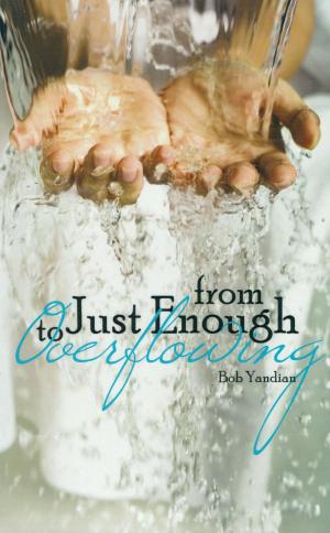 Cover of the book From Just Enough to Overflowing by Bill Winston