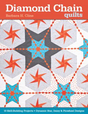 Cover of the book Diamond Chain Quilts by Jennifer Heynen