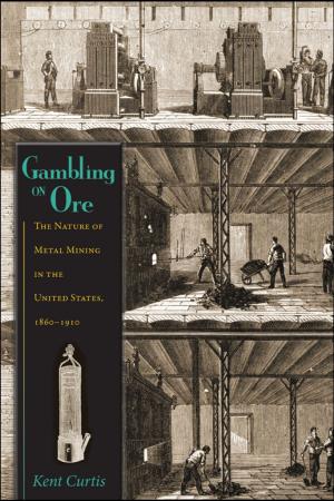 Cover of the book Gambling on Ore by Andrew Scott Johnston