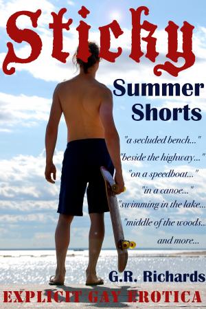 Cover of the book Sticky Summer Shorts by Brigham Vaughn
