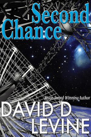 Cover of the book Second Chance by David D. Levine, Sara A. Mueller