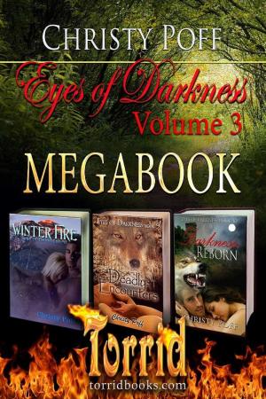 Cover of the book Eyes Of Darkness Megabook by Christy Poff