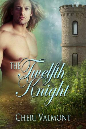 Cover of the book The Twelfth Knight by P. J. Keogh
