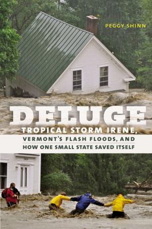 Cover of the book Deluge by Marc Solomon