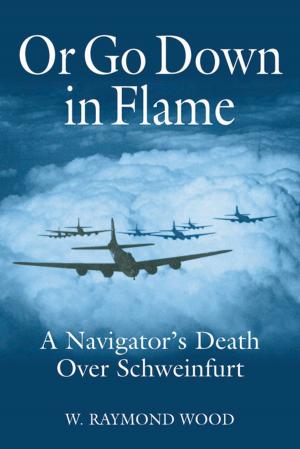 Cover of the book Or Go Down in Flame by Oscar E. Gilbert, Romain Cansiere