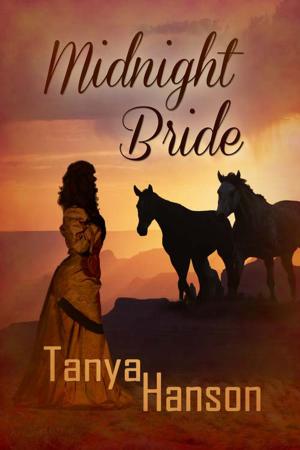 Cover of the book Midnight Bride by Judith  Sterling