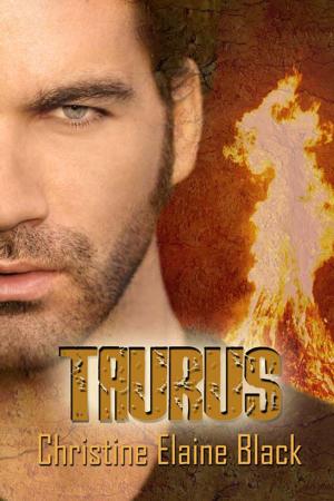 Cover of the book Taurus by Brenda Sparks