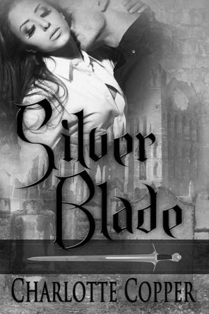 Cover of the book Silver Blade by Barbara  Barrett