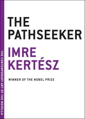 Cover of the book The Pathseeker by Lars Iyer
