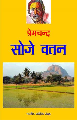 Book cover of Soj-e-vatan (Hindi Stories)