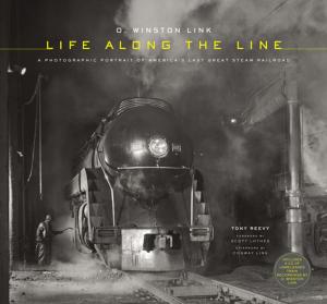 Cover of the book O. Winston Link by Ross MacDonald
