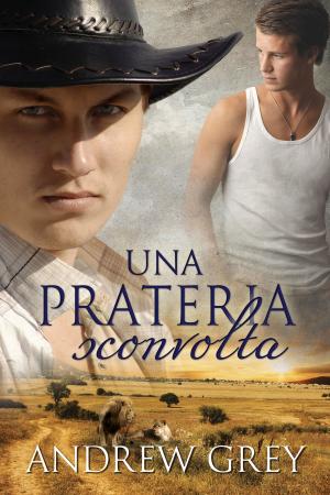 Book cover of Una prateria sconvolta