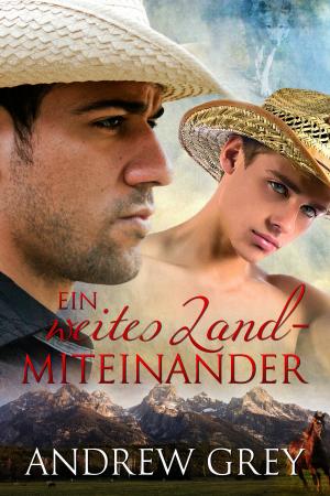 Book cover of Ein weites Land – Miteinander
