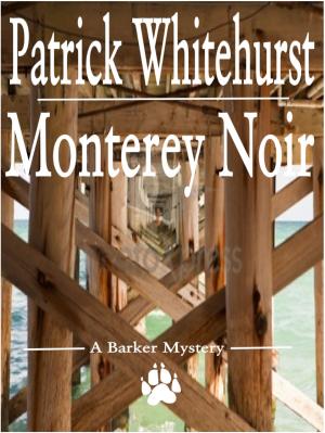 Cover of the book Monterey Noir by CHERYL ALLEN TESSLER