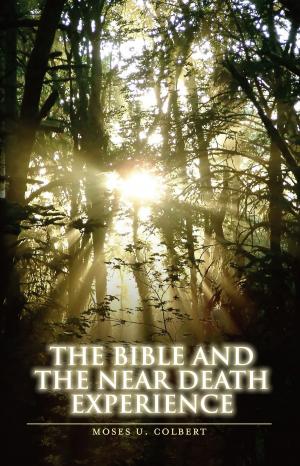 Cover of the book The Bible and the Near-Death Experience by J.E. Reddick