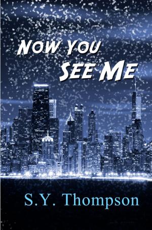 Cover of the book Now You See Me by Regina Hanel