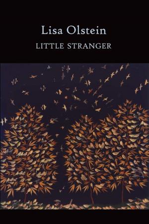 Cover of the book Little Stranger by C.D. Wright