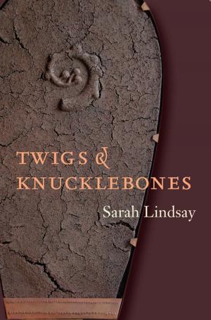 Cover of the book Twigs and Knucklebones by Laura Kasischke