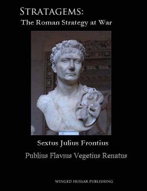 Cover of the book Stratagems by Roman Soltyk