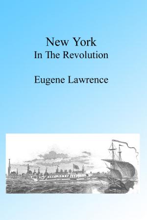 Book cover of New York in the Revolution, Illustrated