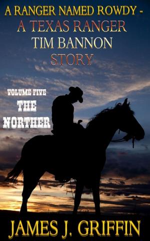 Cover of the book A Ranger Named Rowdy - A Texas Ranger Tim Bannon Story - Volume 5 - The Norther by James J. Griffin