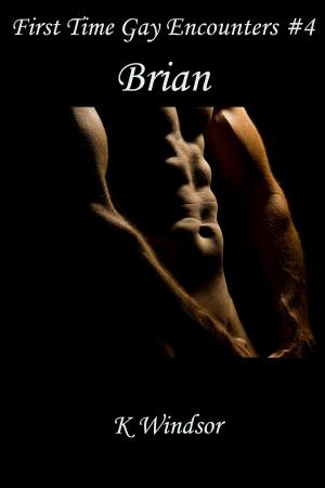 Cover of the book First Time Gay Encounters #4 by Seth Daniels