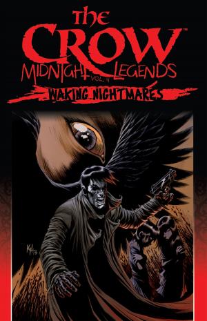 Cover of the book The Crow Midnight Legends, Vol. 4: Waking Nightmares by Petrucha, Stefan; Adlard, Charles; Shearon, Sam