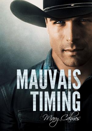 Cover of the book Mauvais timing by CC Bridges