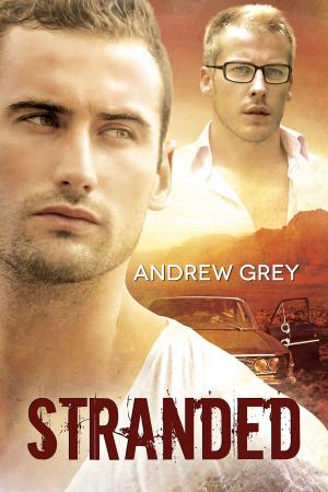 Cover of the book Stranded by Kade Boehme, Piper Vaughn