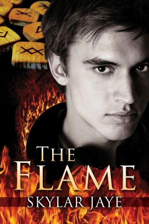 Cover of the book The Flame by Mary Calmes