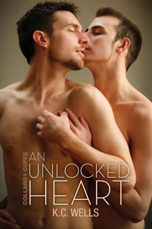 Cover of the book An Unlocked Heart by Nora Roth