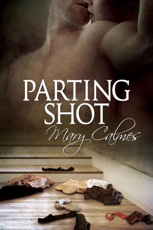 Cover of the book Parting Shot by Ruth Sims