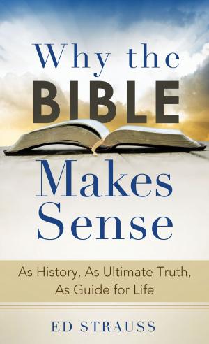 Cover of the book Why the Bible Makes Sense by Wanda E. Brunstetter