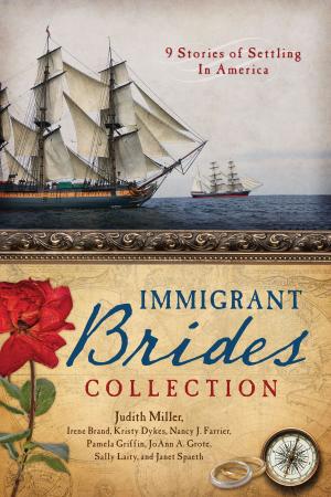 Cover of the book The Immigrant Brides Collection by Angel Hunt
