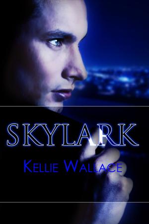 Cover of the book Skylark by Daniel Lance Wright