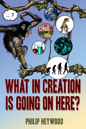Cover of the book What In Creation Is Going On Here? by Thomas Wm. Hamilton