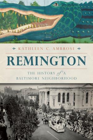 Cover of the book Remington by Barbara Zaragoza