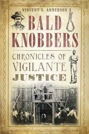 Cover of the book Bald Knobbers by John Martin