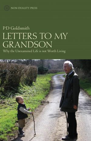 Cover of the book Letters to My Grandson by Jon Hershfield, MFT, Shala Nicely, LPC