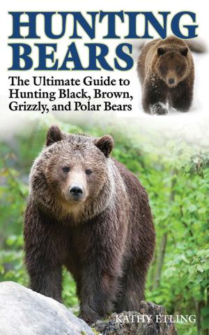 Cover of Hunting Bears