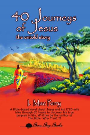 Cover of the book 40 JOURNEYS OF JESUS: The Untold Story - A Historical Novel by D.E. Tingle
