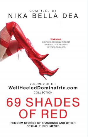 Cover of the book 69 SHADES OF RED by Jane Reville, Martin Reville