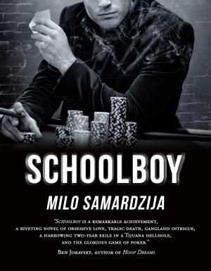 Cover of the book Schoolboy by Bruce Graham