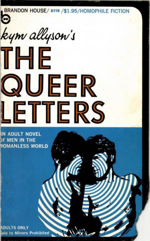 Cover of the book The Queer Letters by Nathan McGrath