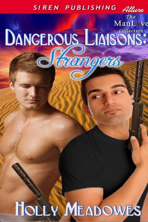 Cover of the book Dangerous Liaisons: Strangers by Elle Saint James